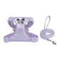 Small Dog Chest Strap Easy Walking Dog Metal Butterfly Hand Holding Rope